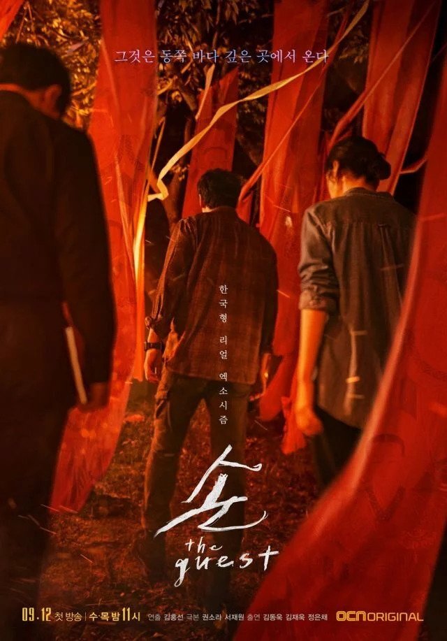 客：The Guest海报